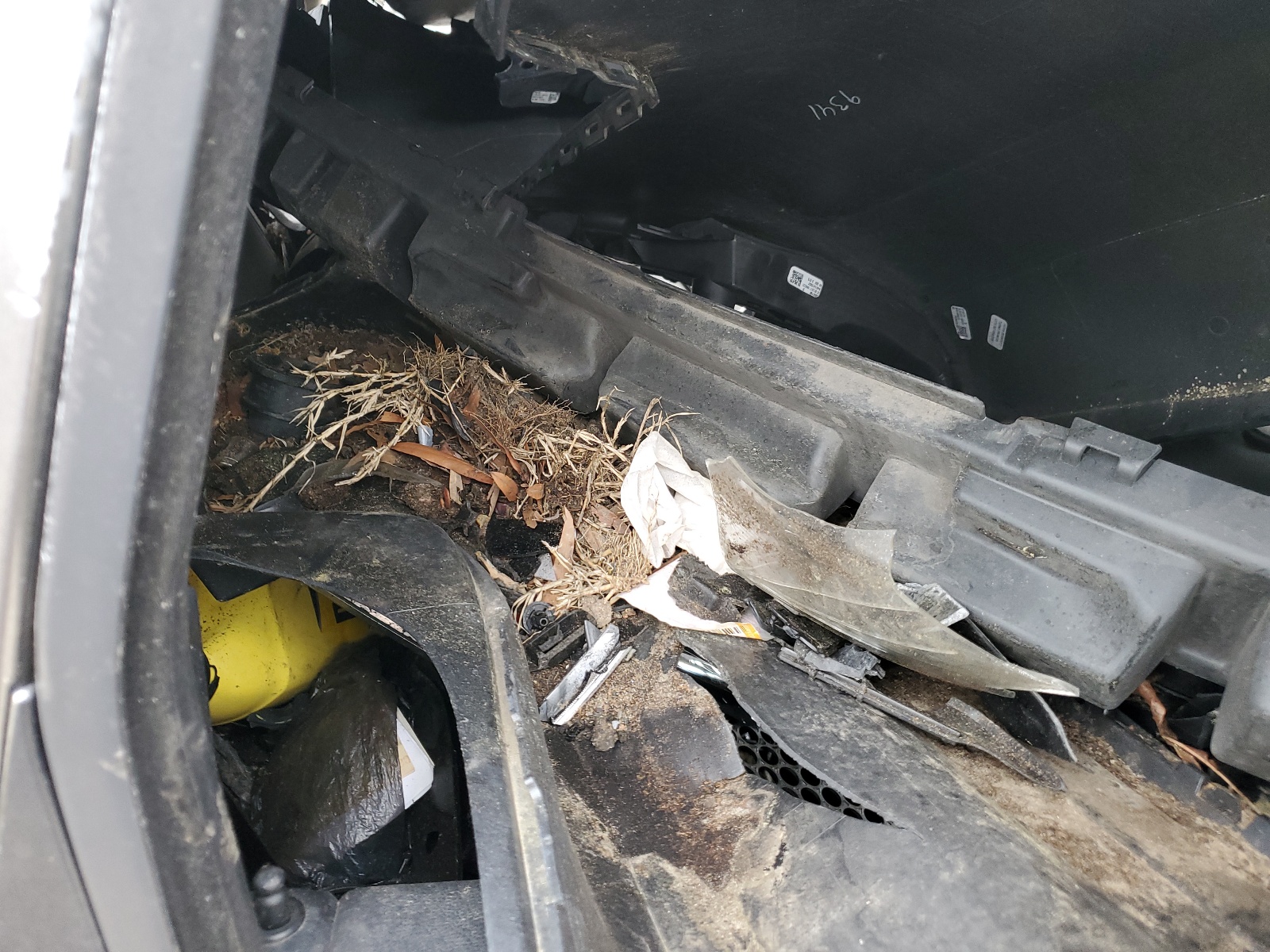 1J8GR48K68C103881 2008 Jeep Grand Cherokee Laredo