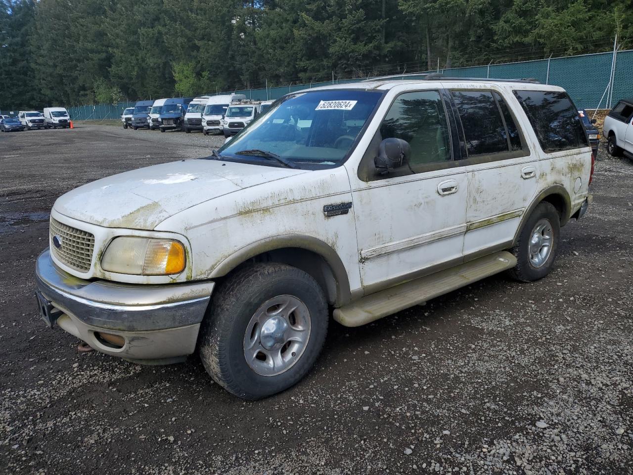 2001 Ford Expedition Eddie Bauer VIN: 1FMFU18L01LA49195 Lot: 52820624