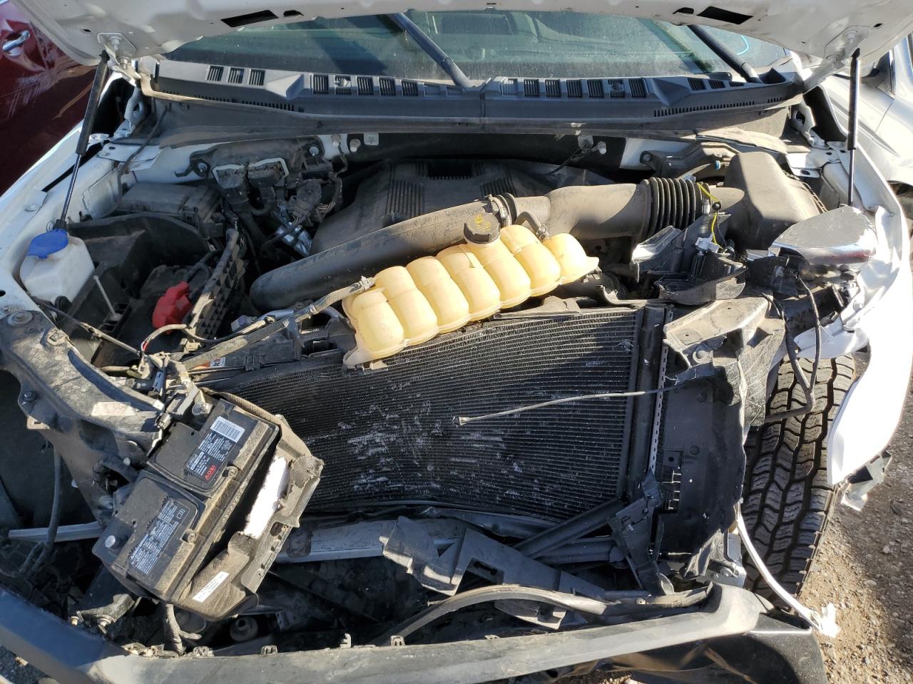 2019 Ford F150 Super Cab VIN: 1FTFX1E43KKC78566 Lot: 49892914