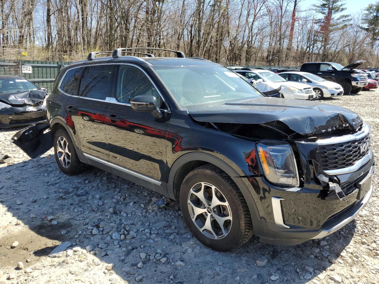 2022 Kia Telluride Ex VIN: 5XYP3DHC7NG229899 Lot: 51773004