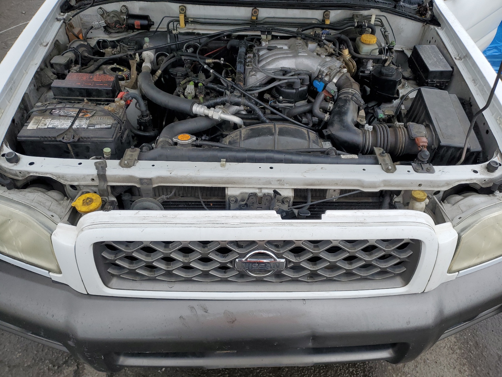 JN8AR07Y5XW356235 1999 Nissan Pathfinder Le