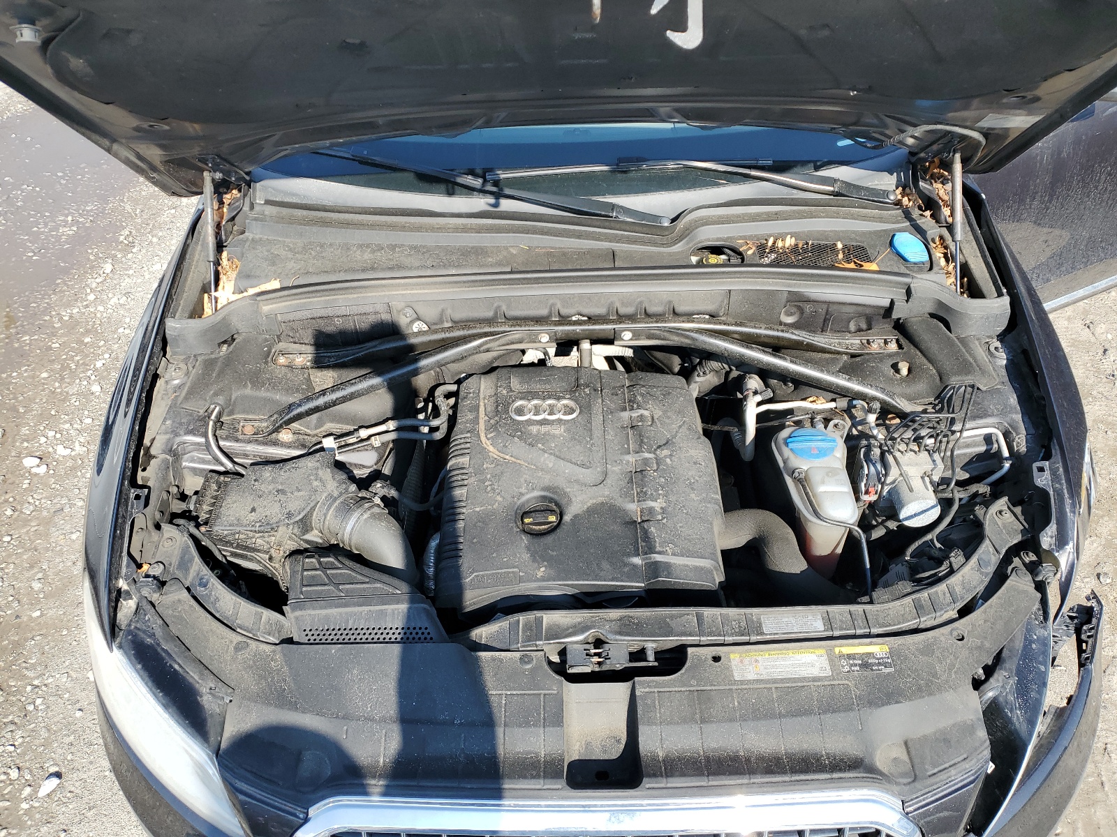 WA1LFAFPXEA059445 2014 Audi Q5 Premium Plus