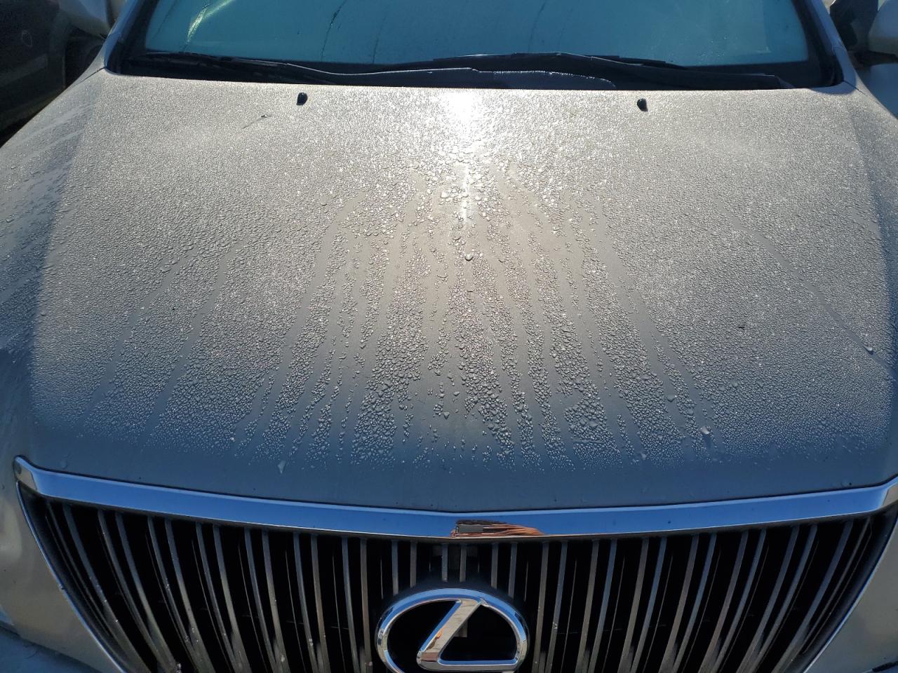 2007 Lexus Rx 350 VIN: JTJHK31U772011203 Lot: 51590784