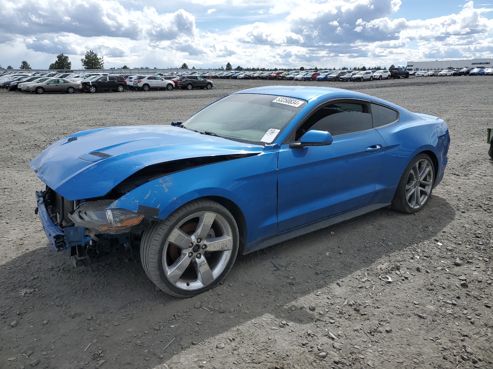 2019 Ford Mustang vin: 1FA6P8TH0K5144066