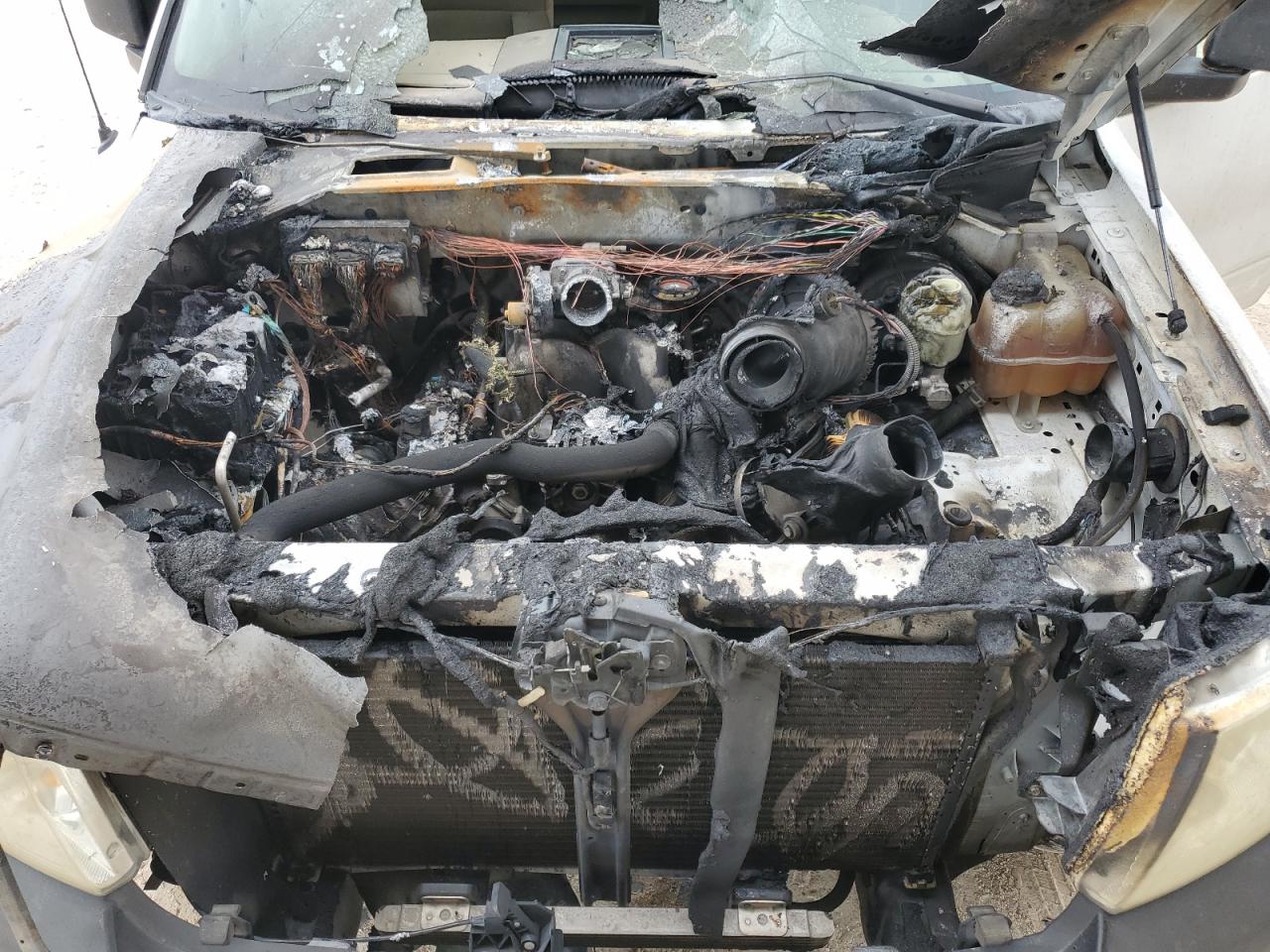 2006 Ford F150 VIN: 1FTRF12W46NB27097 Lot: 51553294