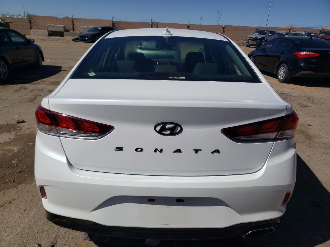 2019 Hyundai Sonata Limited VIN: 5NPE34AF4KH817484 Lot: 53129934