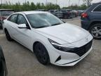 2023 Hyundai Elantra Blue продається в Cahokia Heights, IL - Hail
