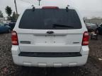 2008 Ford Escape Xlt for Sale in Chalfont, PA - Front End