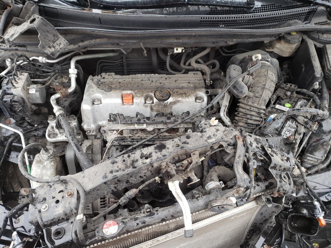 2013 Honda Cr-V Exl VIN: 2HKRM4H77DH638484 Lot: 52411514