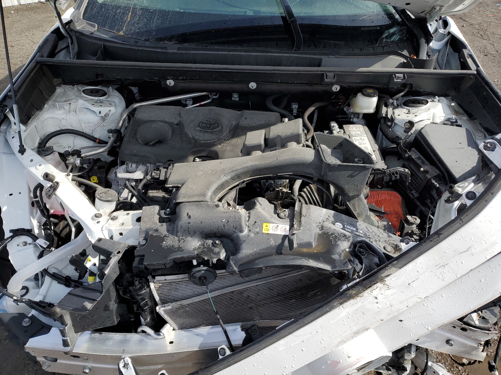 2T3K1RFV8NC202084 2022 Toyota Rav4 Le