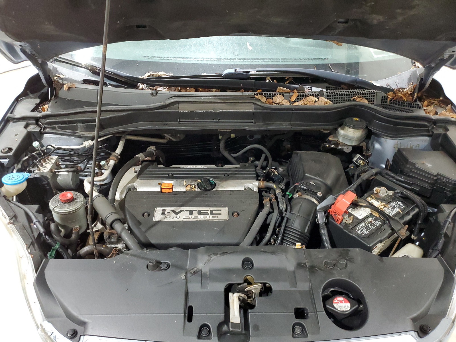 3CZRE48509G704475 2009 Honda Cr-V Ex