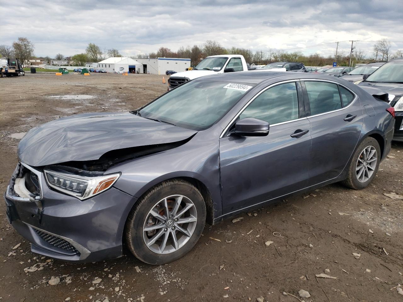 2019 Acura Tlx VIN: 19UUB1F36KA007777 Lot: 50229894