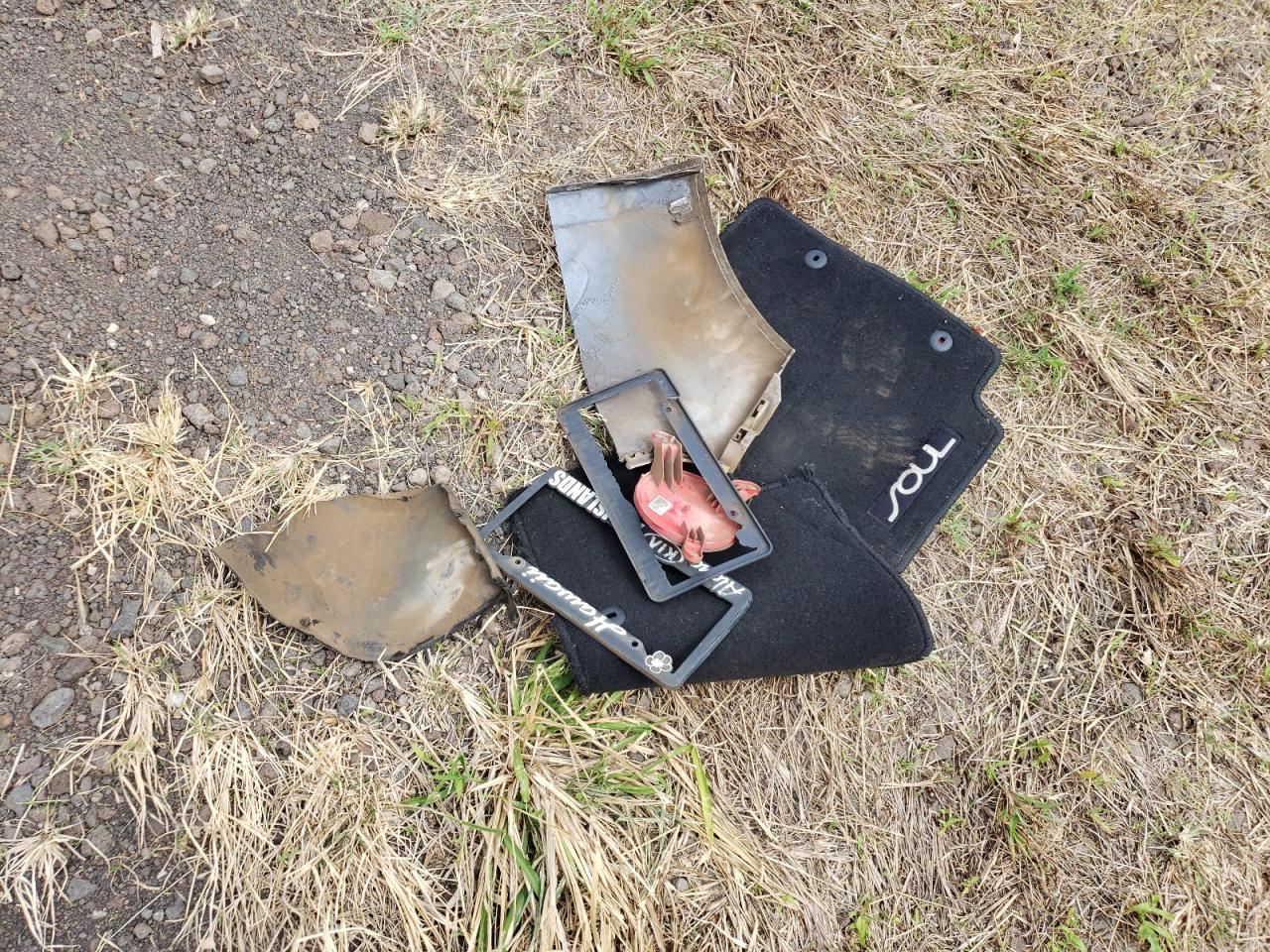 2015 Kia Soul VIN: KNDJN2A29F7224515 Lot: 48753124