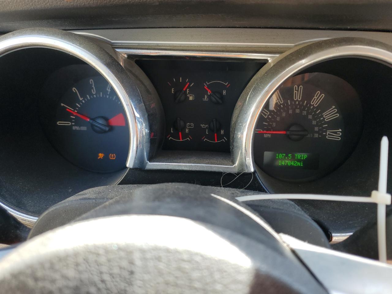 2009 Ford Mustang VIN: 1ZVHT84N895135884 Lot: 49641564