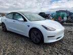 2023 Tesla Model 3  for Sale in Magna, UT - Rear End