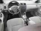2010 Toyota Corolla Base en Venta en Cahokia Heights, IL - Hail