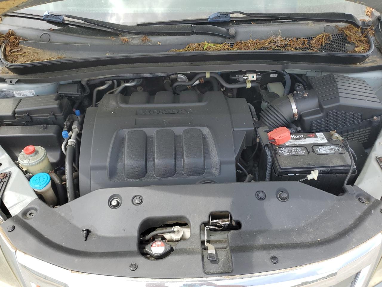 2009 Honda Odyssey Ex VIN: 5FNRL384X9B019029 Lot: 50240784