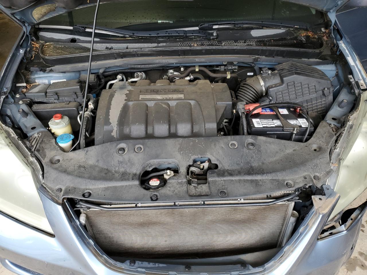 2007 Honda Odyssey Exl VIN: 5FNRL38677B138140 Lot: 53083964