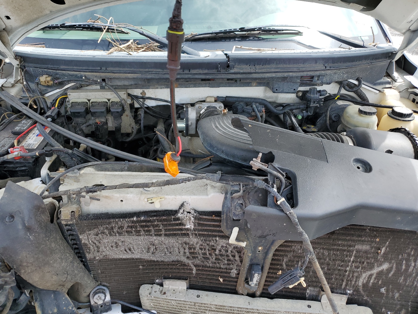 1FTRF14W95NB28676 2005 Ford F150