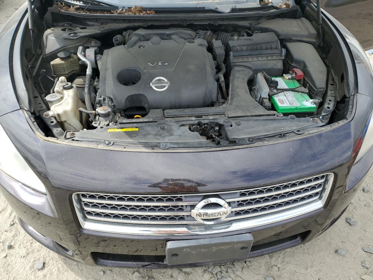 2010 Nissan Maxima S VIN: 1N4AA5AP2AC860451 Lot: 52163844