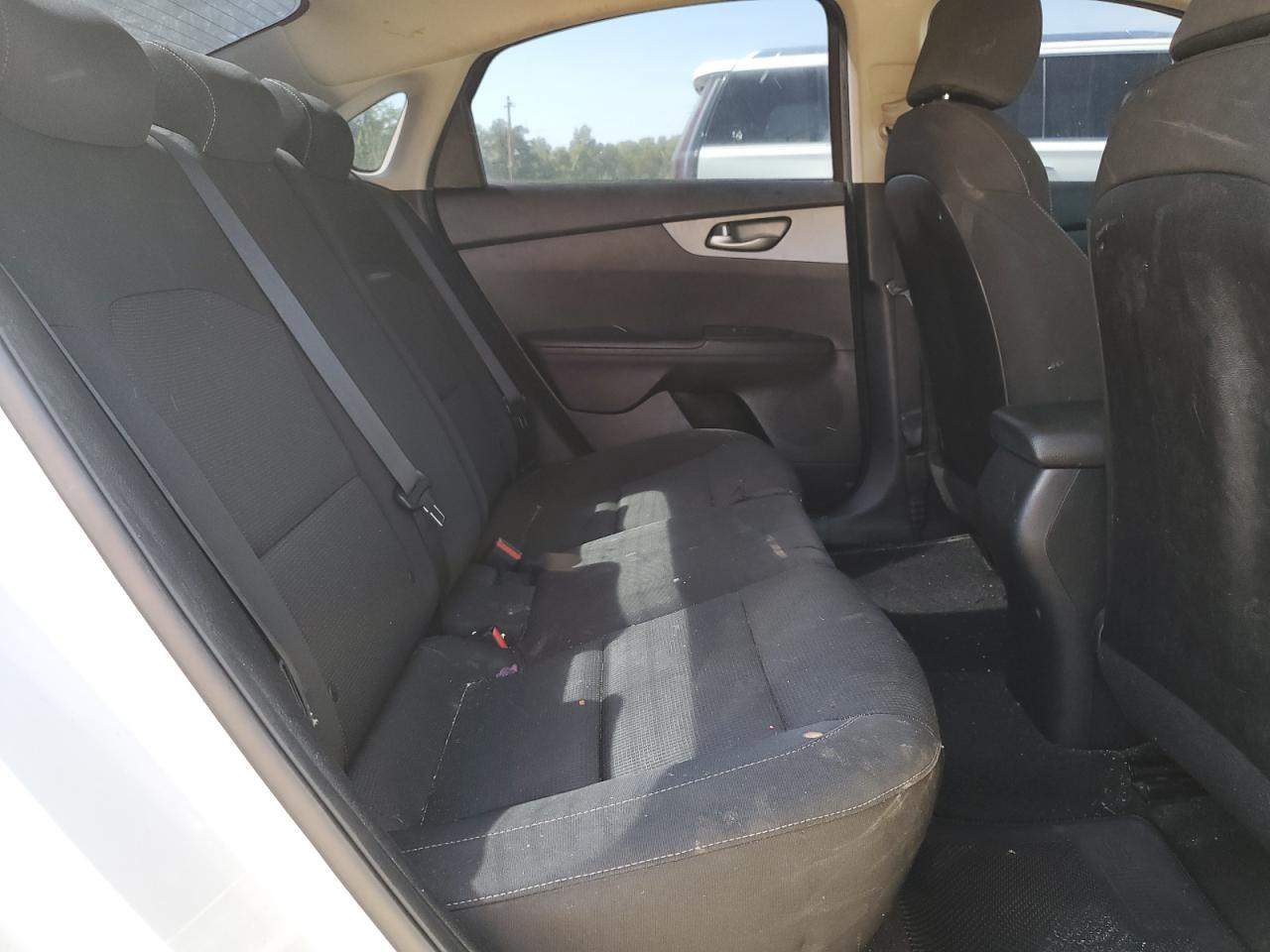 2019 Kia Forte Fe VIN: 3KPF24ADXKE081516 Lot: 51963704