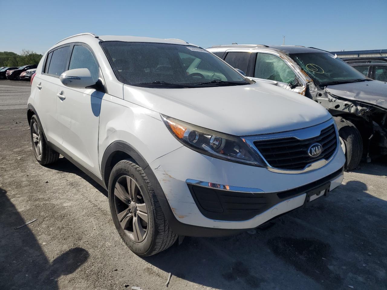 2013 Kia Sportage Base VIN: KNDPB3A29D7374548 Lot: 50899884