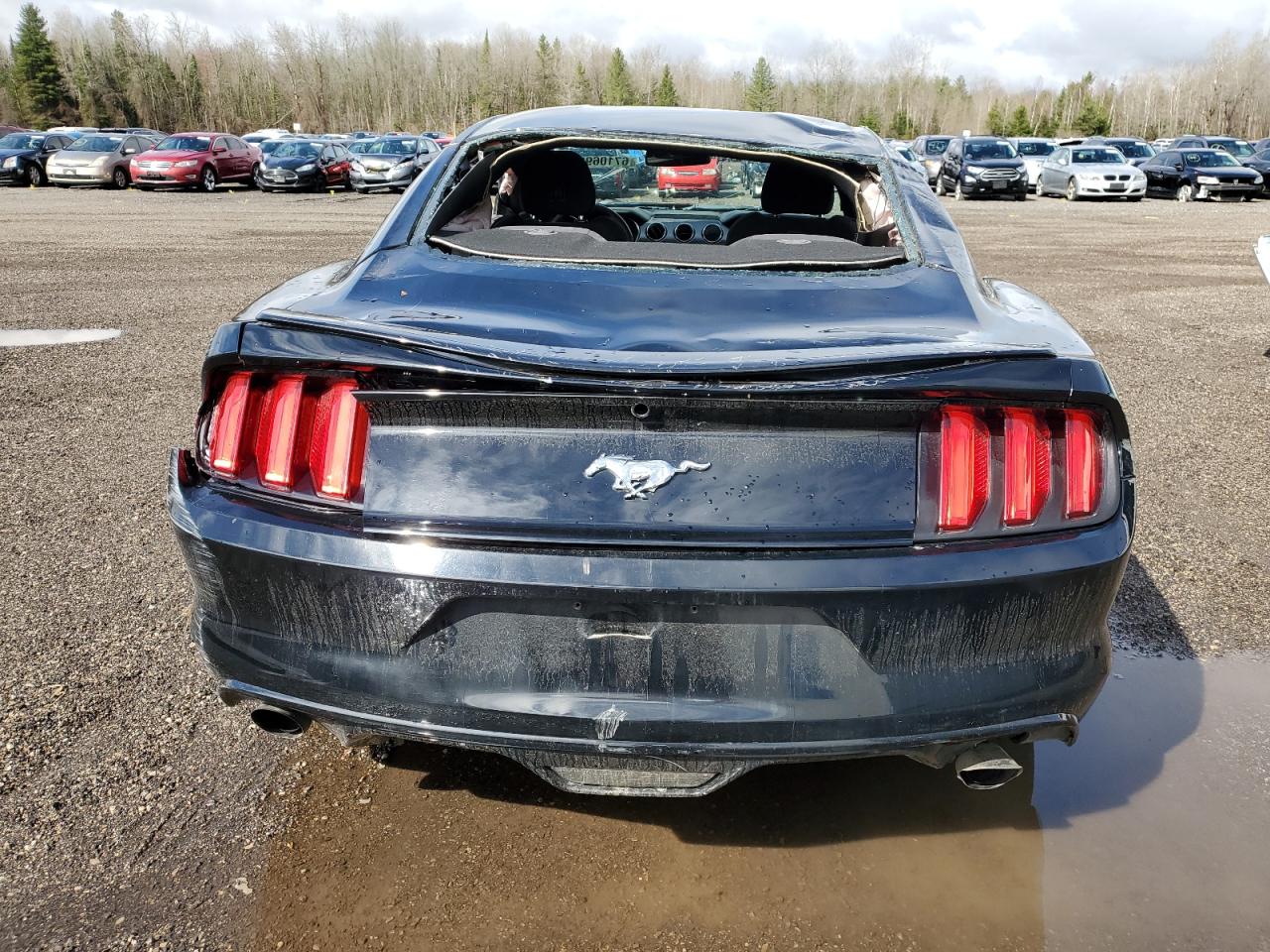 2016 Ford Mustang VIN: 1FA6P8TH4G5325310 Lot: 67106933