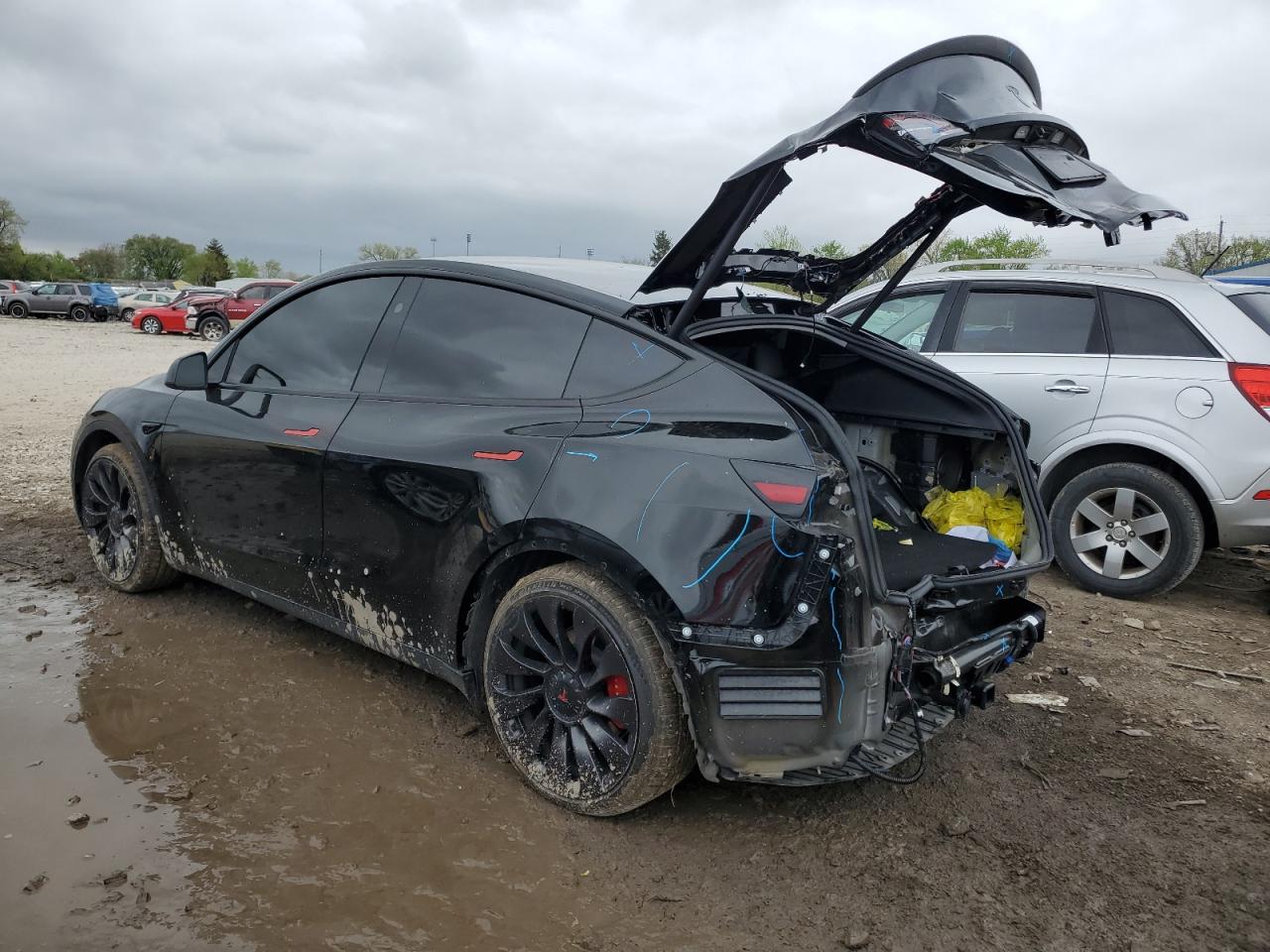 7SAYGDEF7PF884519 2023 Tesla Model Y