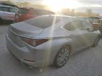 2020 Lexus Es 350 იყიდება Cahokia Heights-ში, IL - Hail