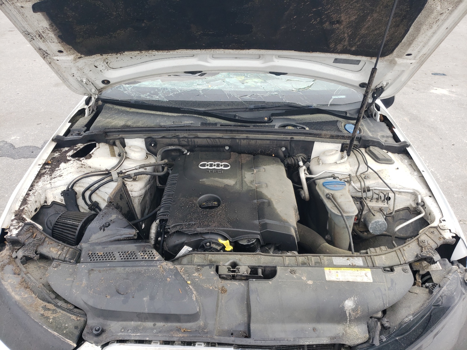 WAUEFAFL5EN025415 2014 Audi A4 Premium Plus