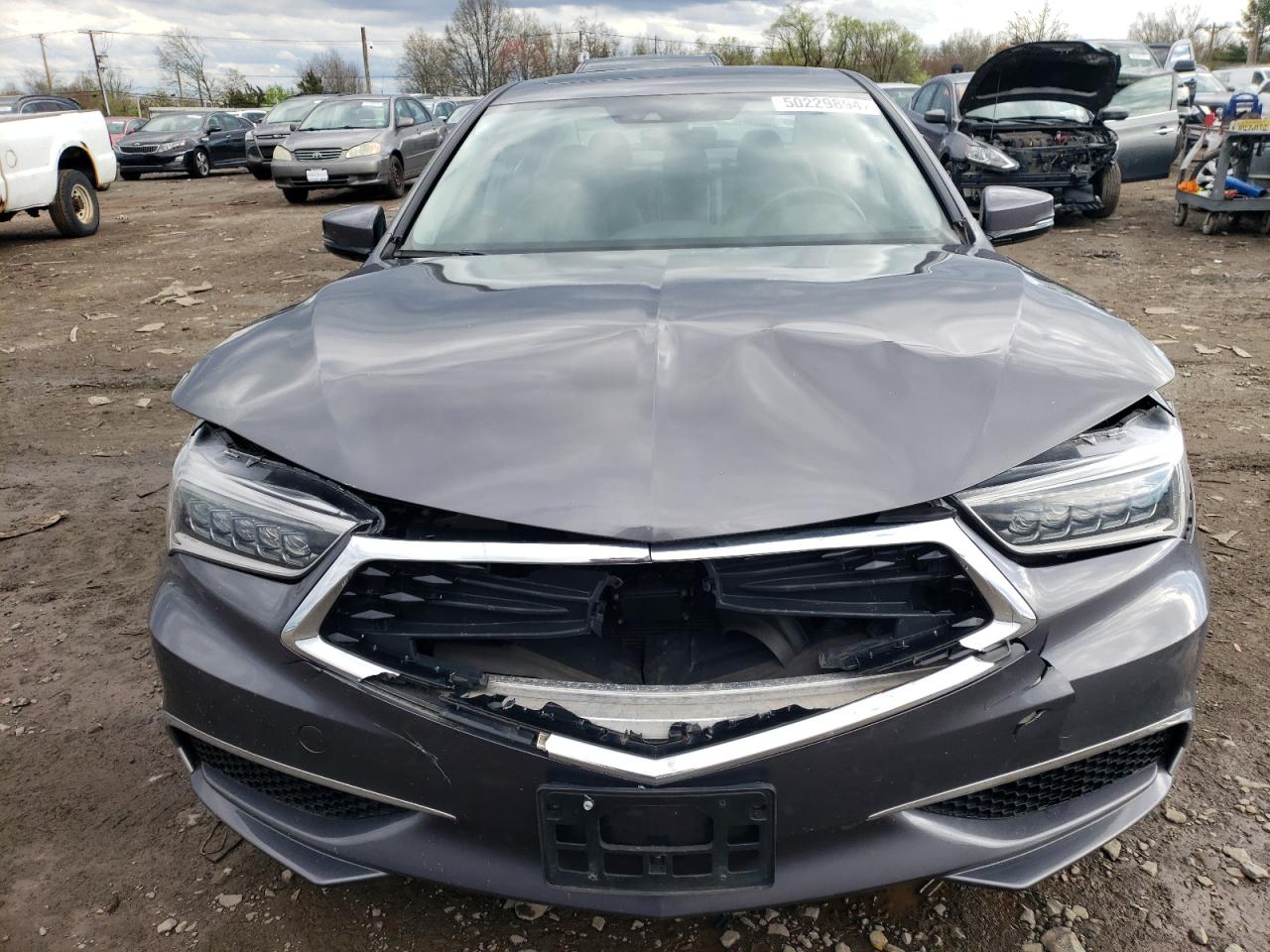 2019 Acura Tlx VIN: 19UUB1F36KA007777 Lot: 50229894