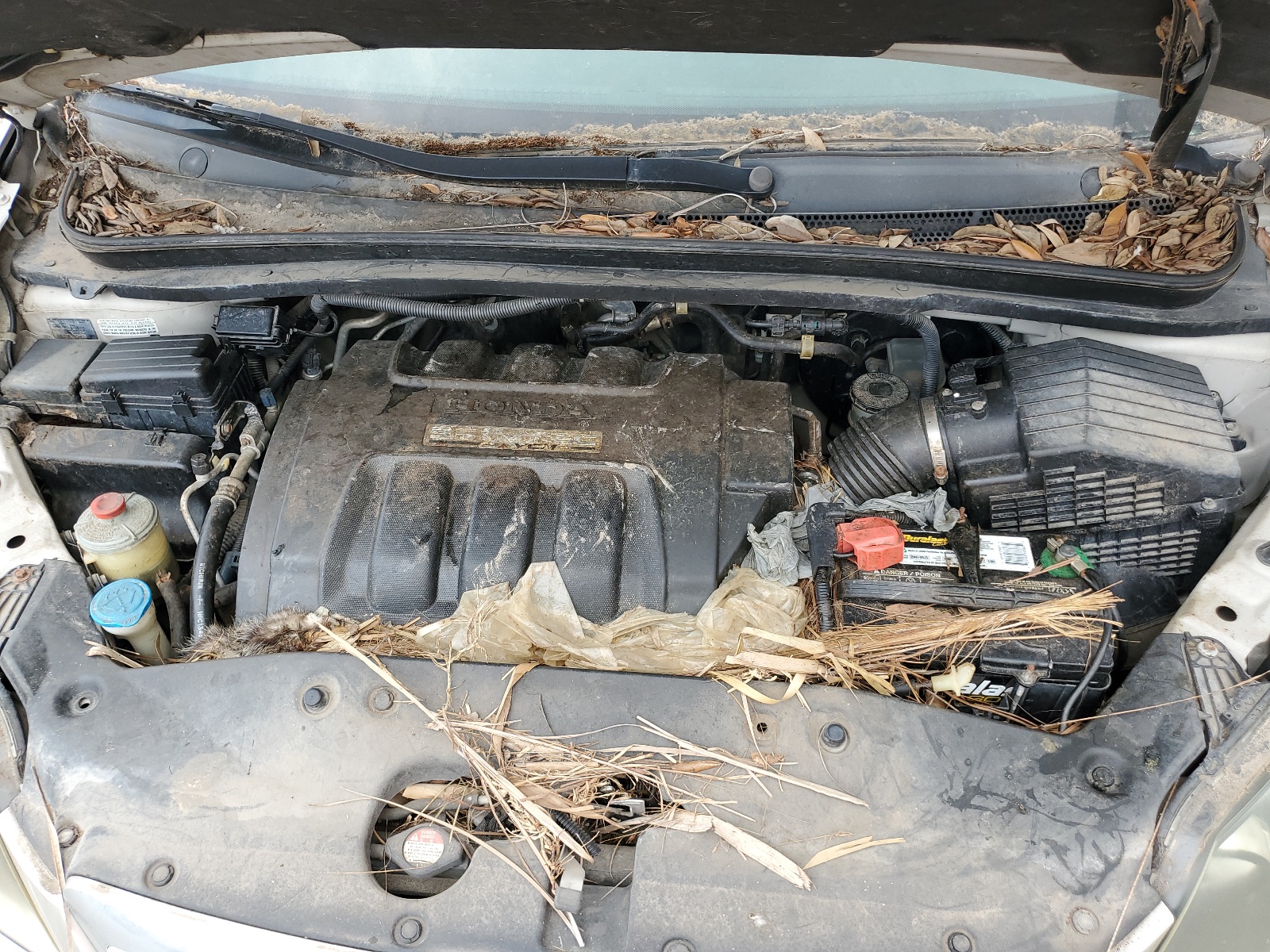 5FNRL38697B026326 2007 Honda Odyssey Exl