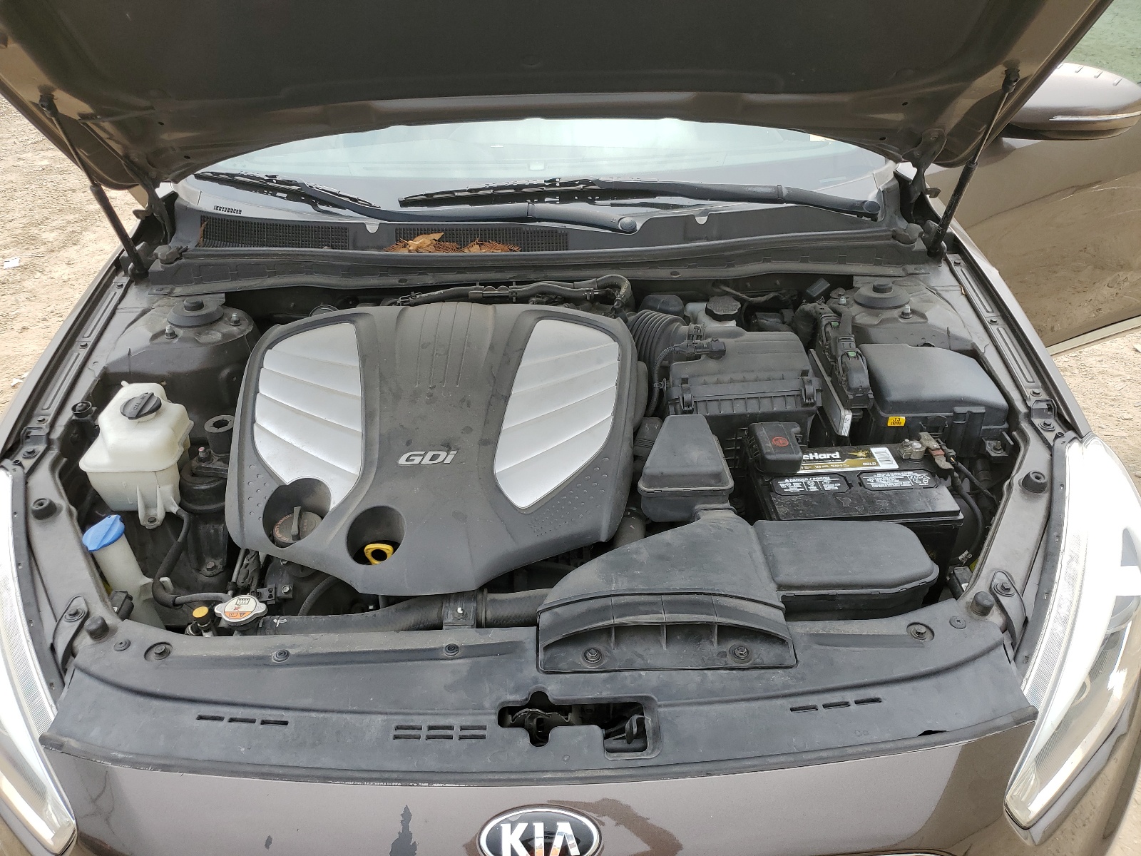 KNALN4D72E5166976 2014 Kia Cadenza Premium