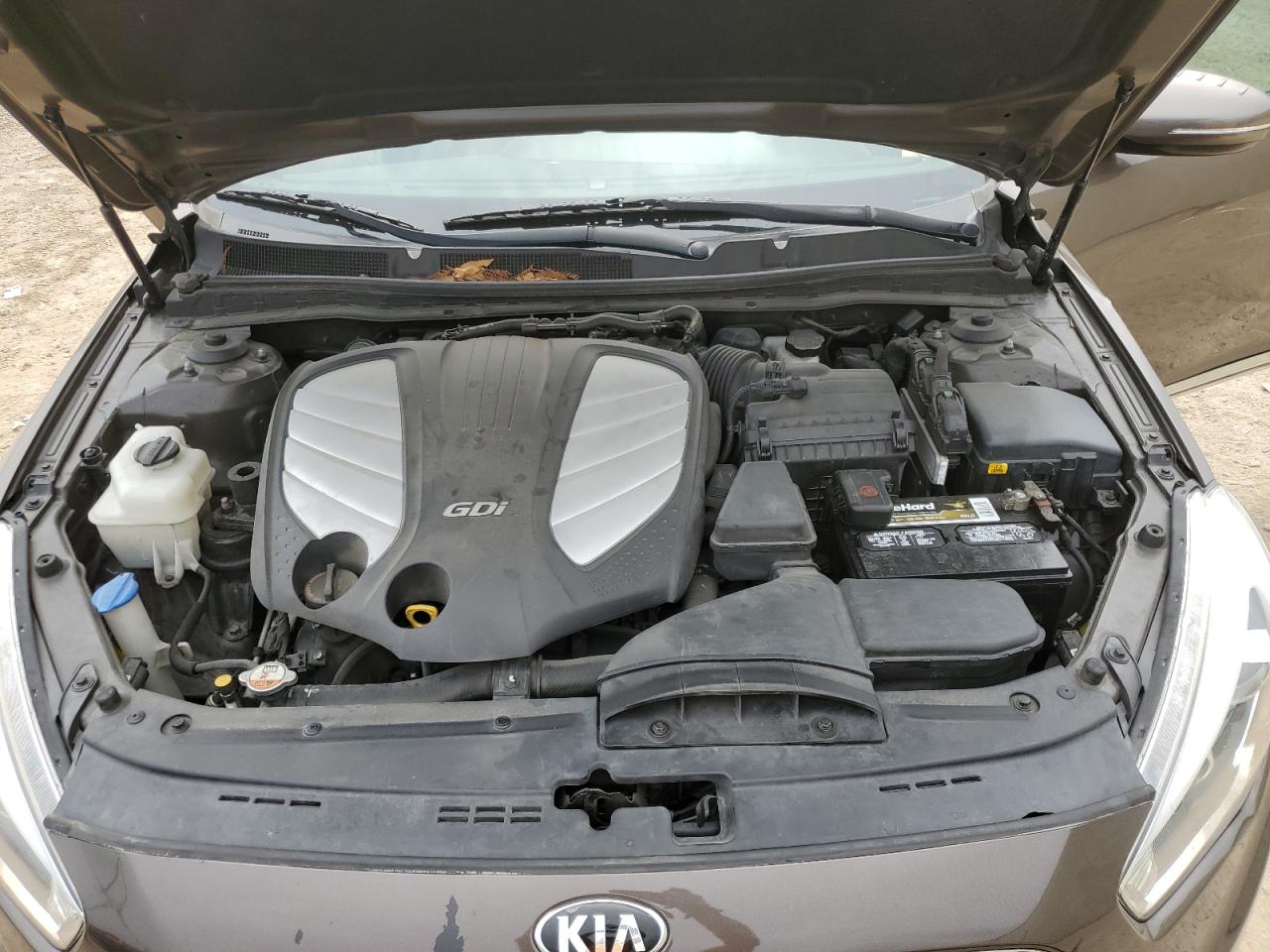 2014 Kia Cadenza Premium VIN: KNALN4D72E5166976 Lot: 51838204