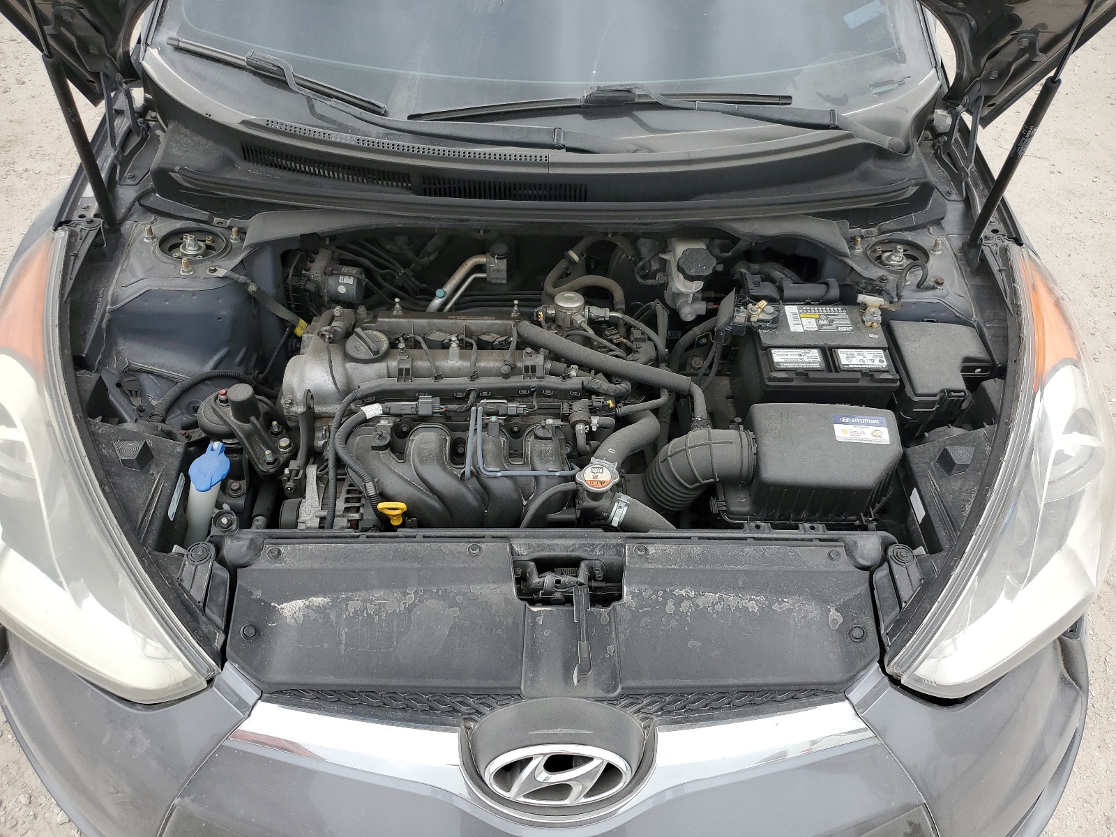 KMHTC6AD4GU278004 2016 Hyundai Veloster