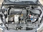 2014 Honda Accord Exl იყიდება Dyer-ში, IN - All Over