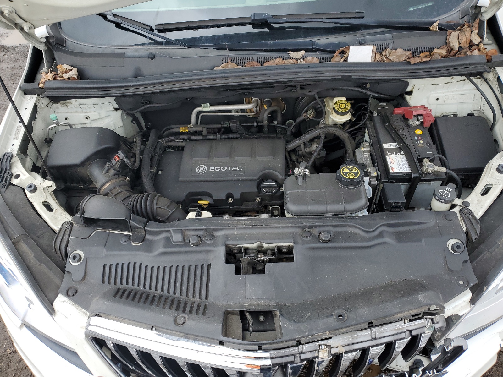 KL4CJHSB9EB748758 2014 Buick Encore Premium