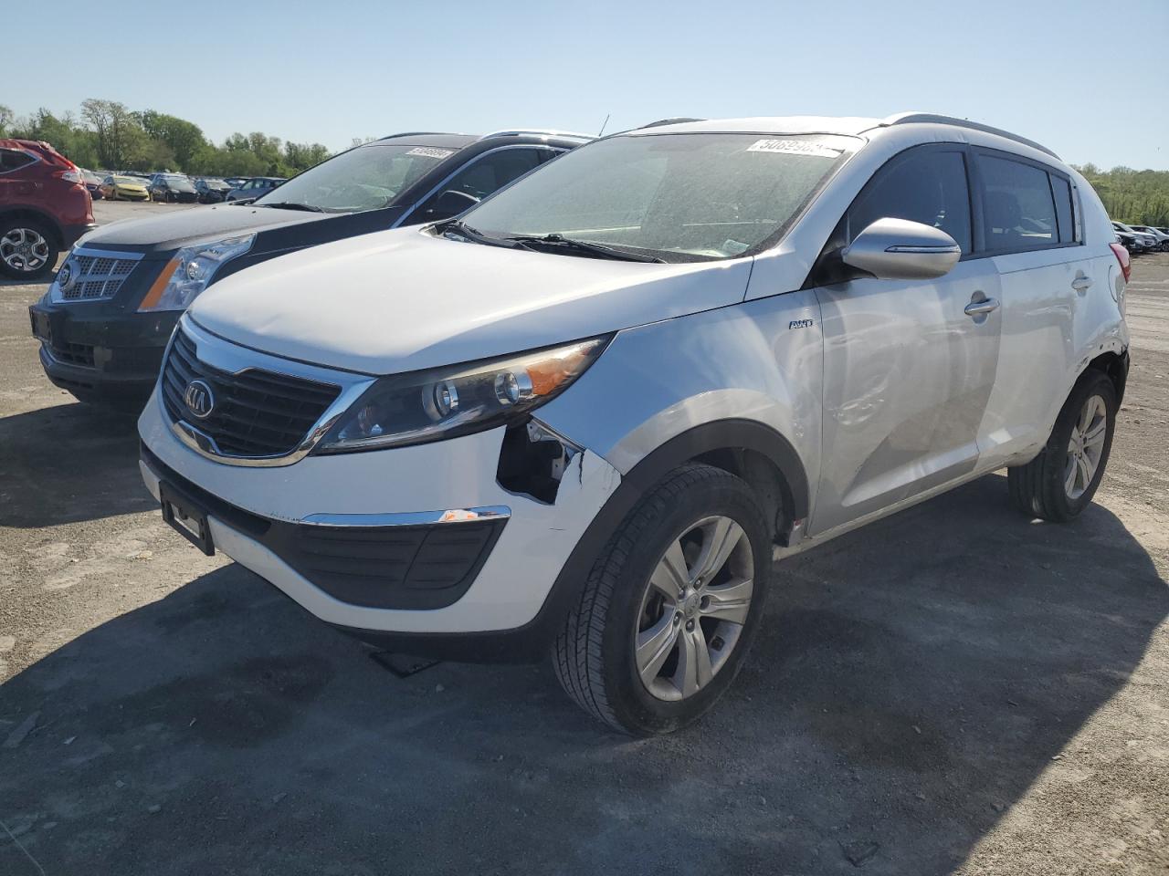 2013 Kia Sportage Base VIN: KNDPB3A29D7374548 Lot: 50899884