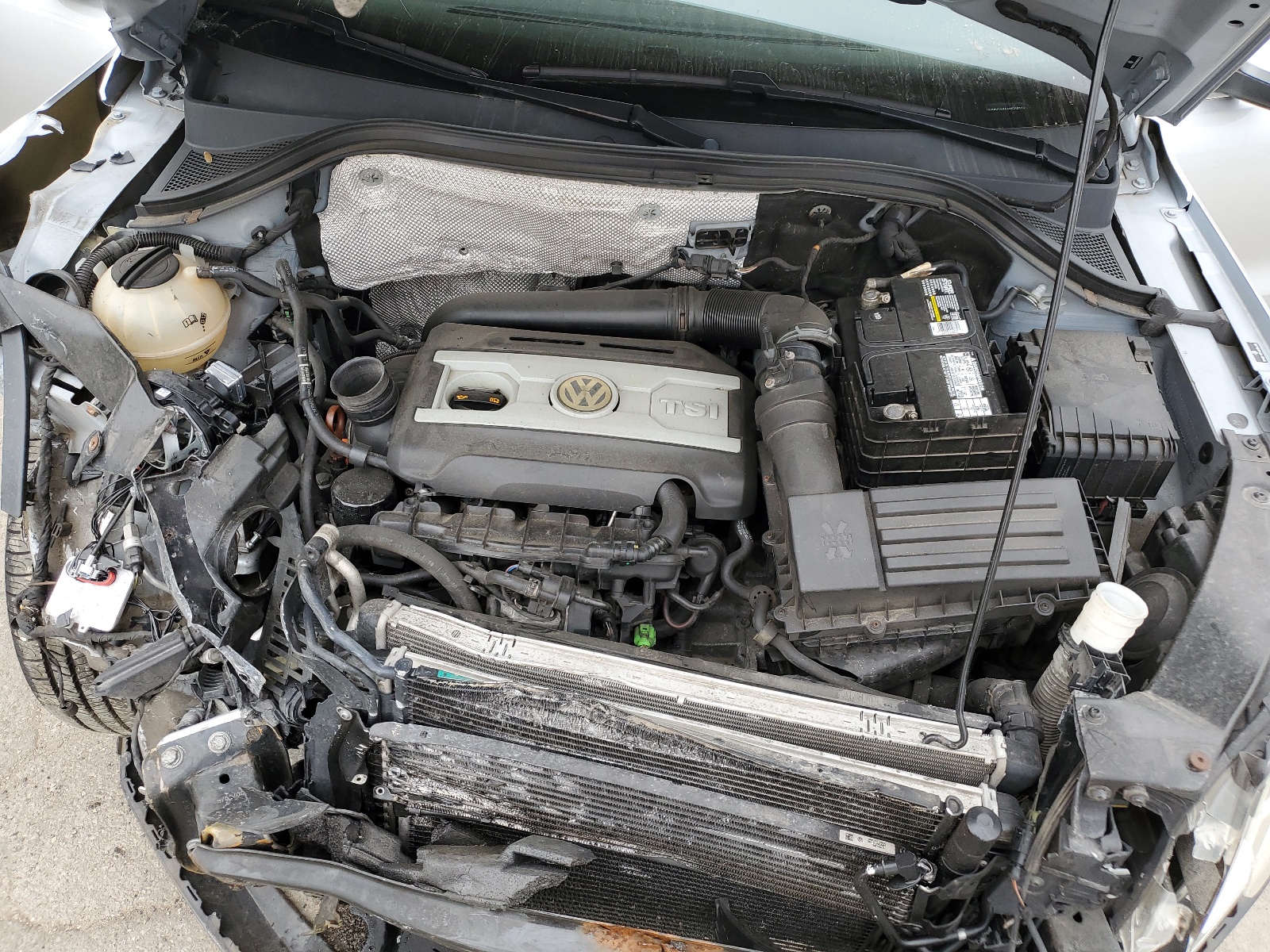 WVGBV7AX6AW508319 2010 Volkswagen Tiguan Se