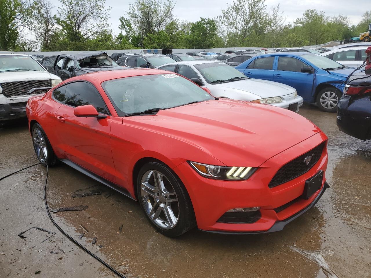 1FA6P8AM5H5250229 2017 Ford Mustang