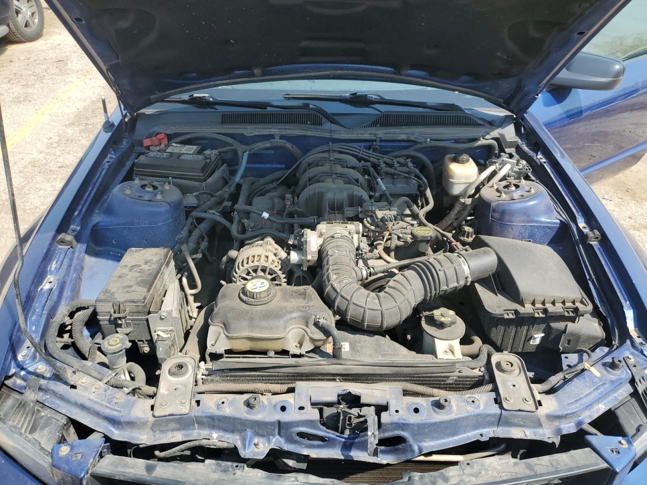 2007 Ford Mustang VIN: 1ZVFT80N275277223 Lot: 49951374