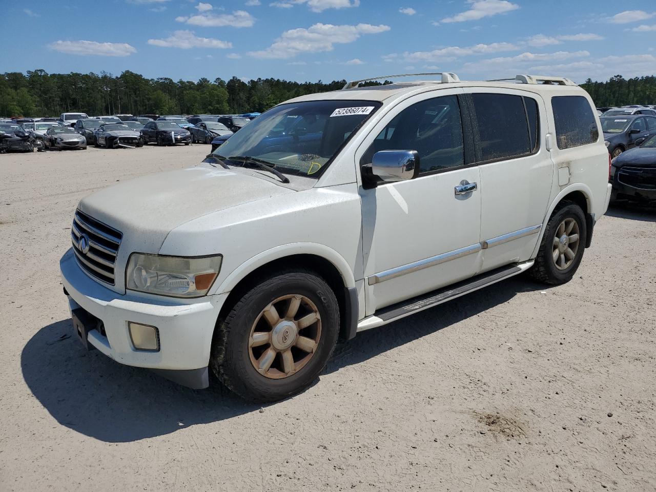 2004 Infiniti Qx56 VIN: 5N3AA08A34N810040 Lot: 52386074
