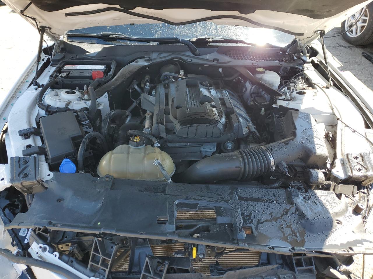 2018 Ford Mustang VIN: 1FATP8UH5J5138862 Lot: 51225844