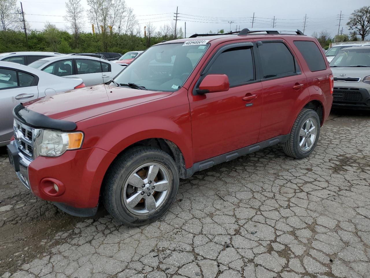 1FMCU0EGXBKA42184 2011 Ford Escape Limited