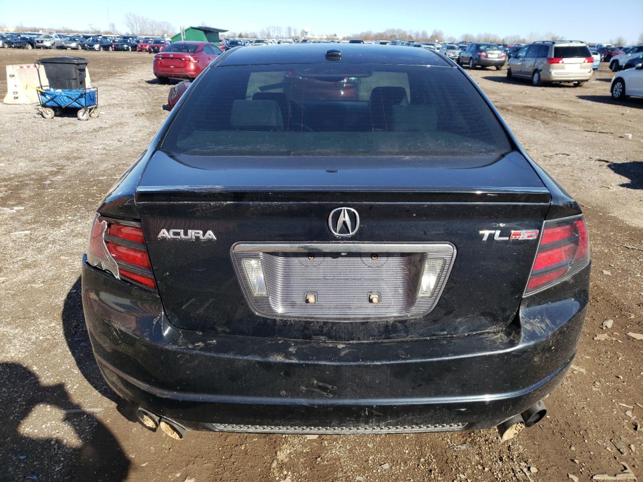 2007 Acura Tl Type S VIN: 19UUA76517A021181 Lot: 49789694