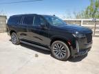 2023 Cadillac Escalade Esv Sport zu verkaufen in Anthony, TX - Minor Dent/Scratches