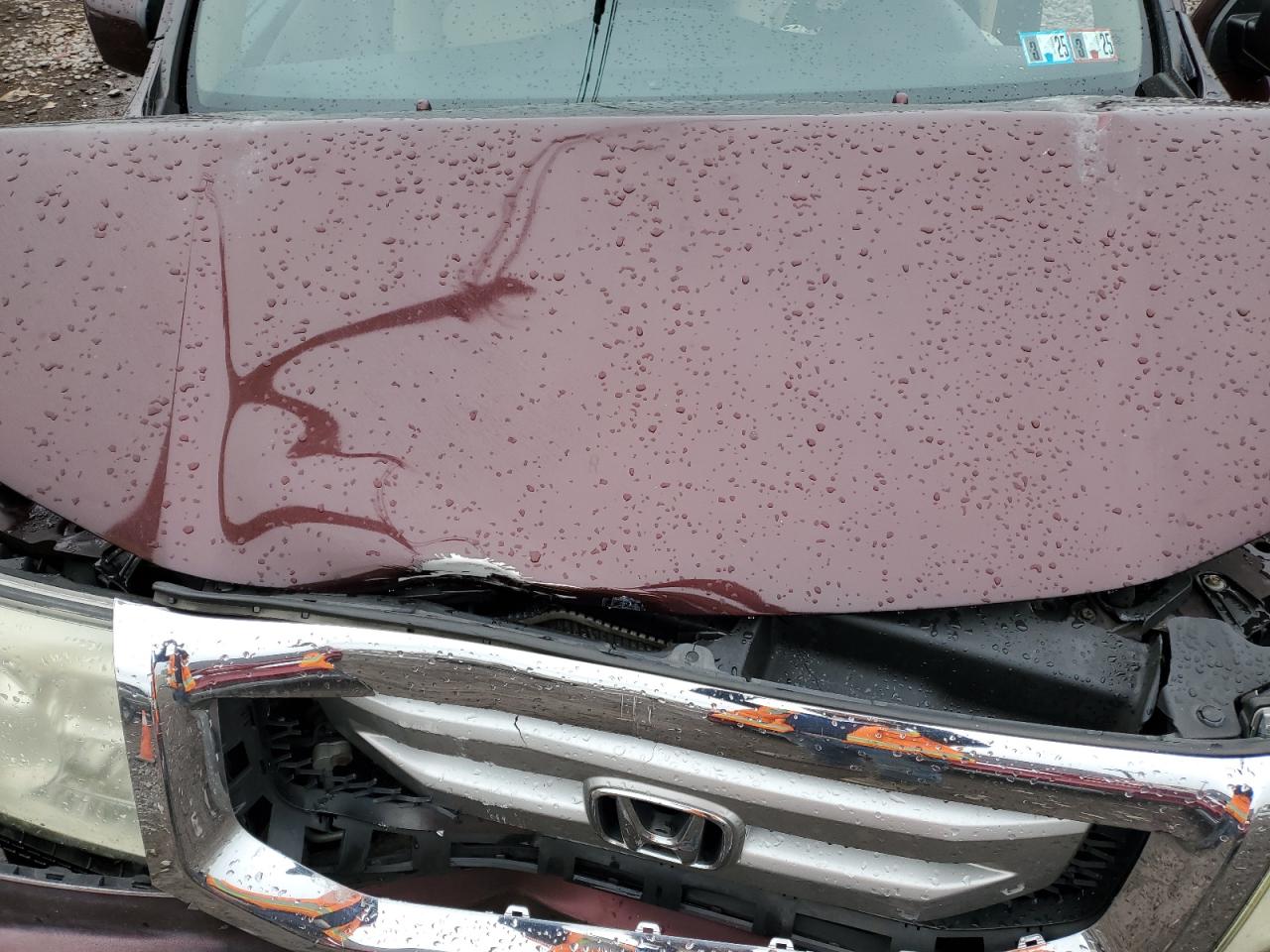 2009 Honda Pilot Exl VIN: 5FNYF48509B038707 Lot: 51226264