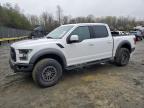 2020 Ford F150 Raptor na sprzedaż w Windsor, NJ - All Over