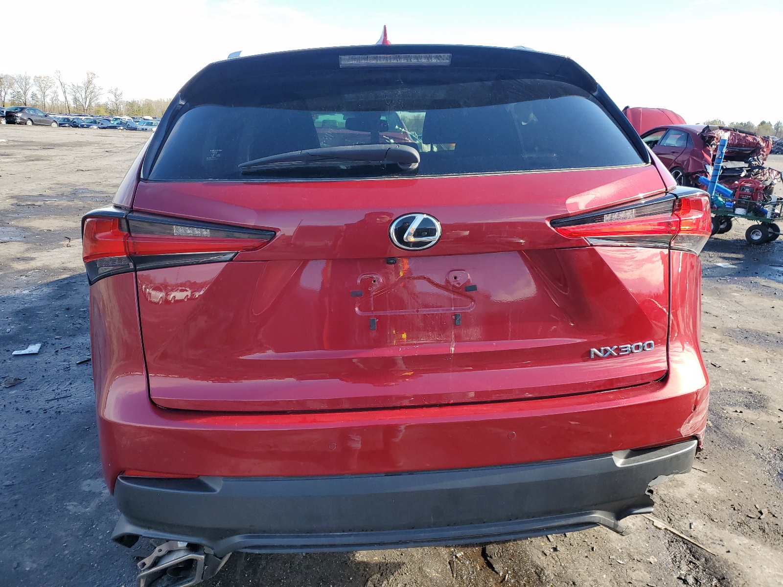 JTJDARDZ8L5013028 2020 Lexus Nx 300