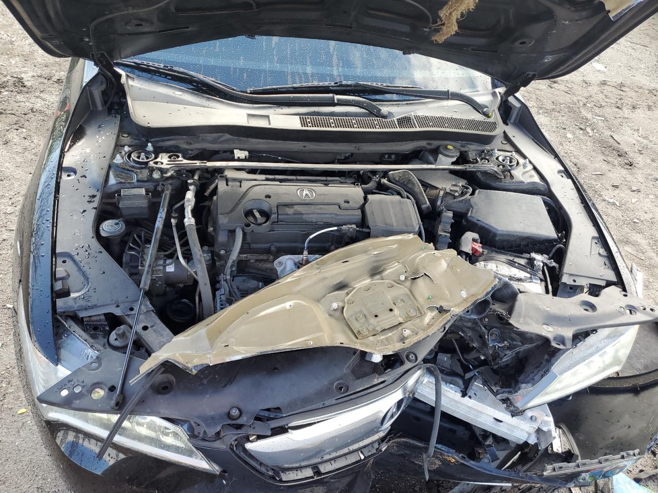 19UUB1F34HA007494 2017 Acura Tlx